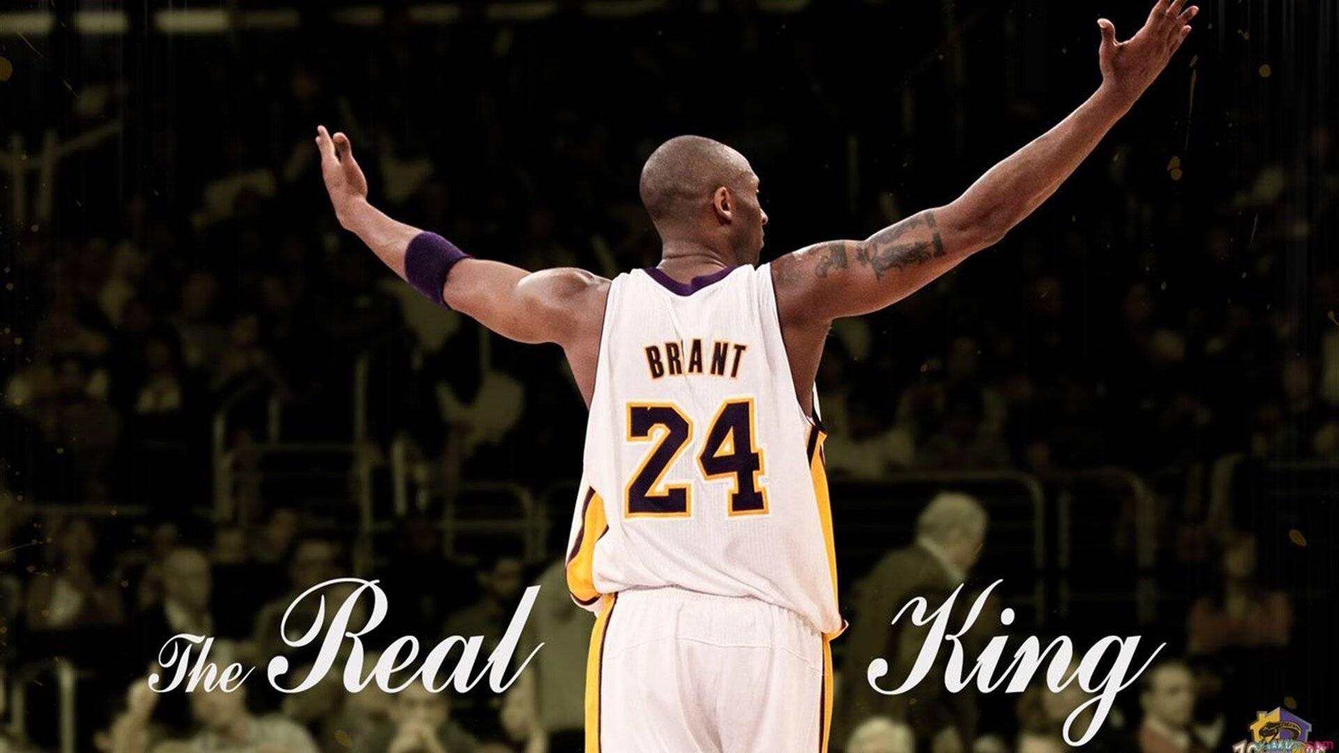 纳达尔新星出色发挥表现突出，DWG前途光明！全场沸腾不已